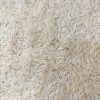 Premium quality basmati rice